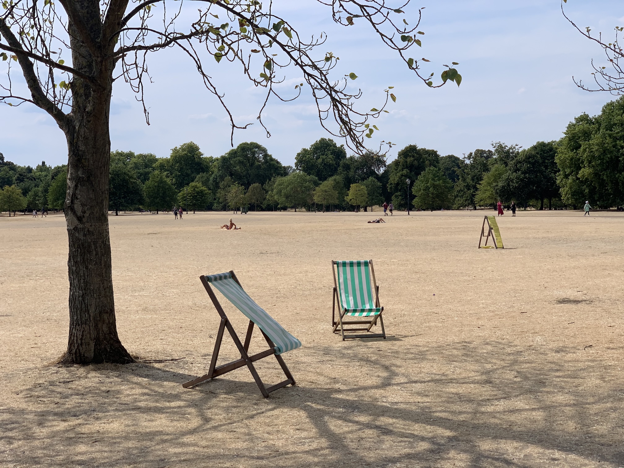 Hyde Park during the very hot summer of 2022, showing grass turned to straw